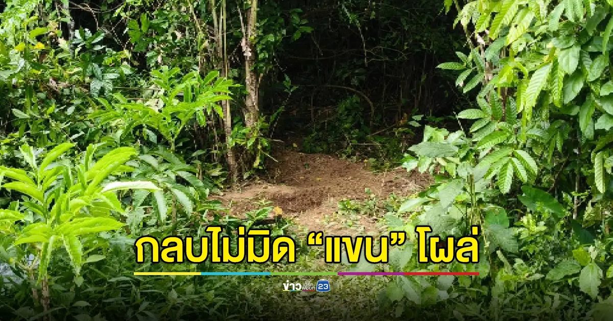 เร่งไขปมศพฝังดิน พบขุดหลุมแบบเร่งรีบ-ไม่ลึก