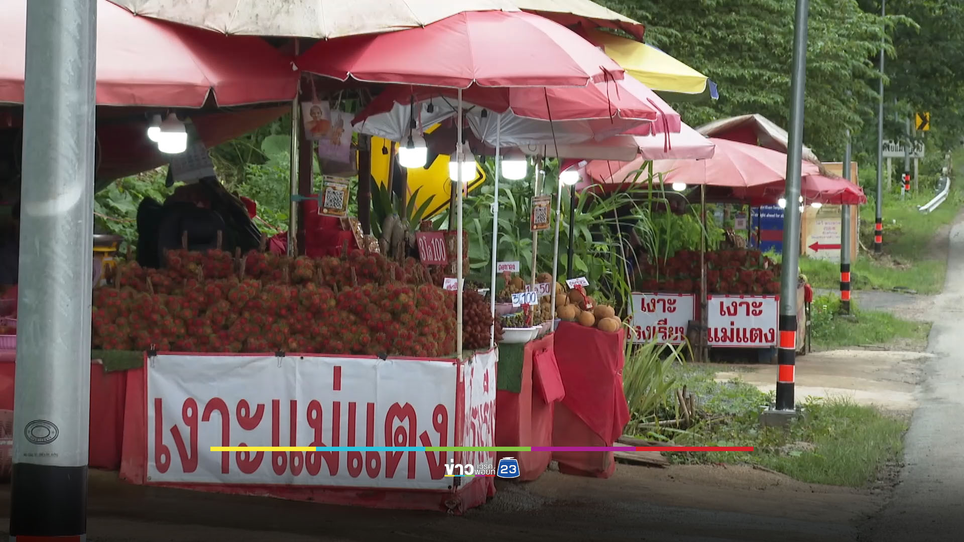 แม่ค้าบ่นอุบ เงาะต่างถิ่นสวมชื่อ ‘เงาะแม่แตง’ ขาดตัดราคาครึ่งๆ