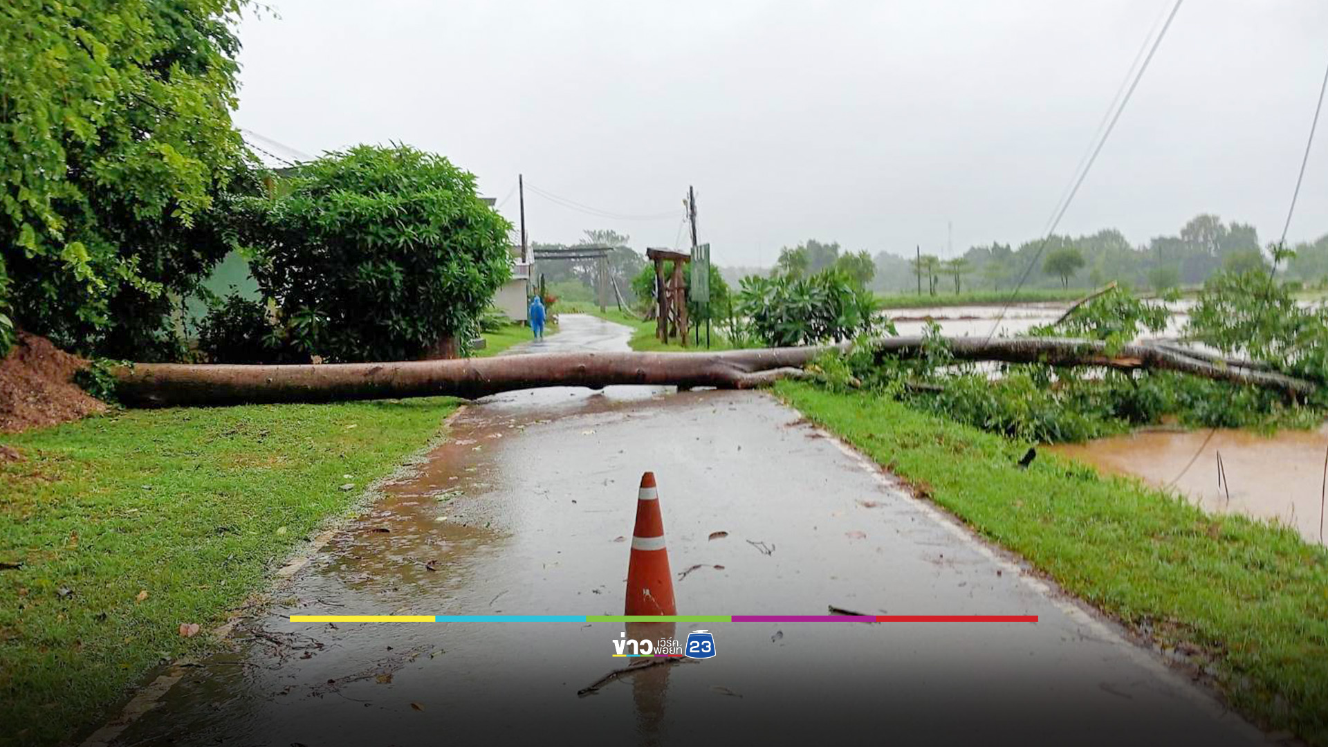 ฝนถล่มเมืองแพร่อีกระลอก ต้นไม้ล้มขวางถนน-ทับสายไฟฟ้า-หม้อแปลงระเบิด