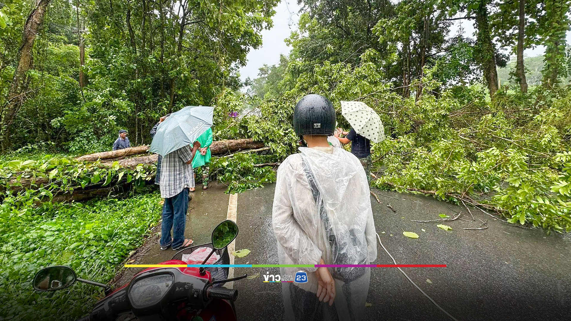 ฝนถล่มเมืองแพร่อีกระลอก ต้นไม้ล้มขวางถนน-ทับสายไฟฟ้า-หม้อแปลงระเบิด