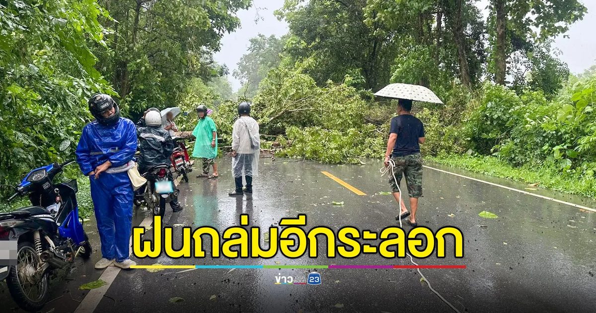 ฝนถล่มเมืองแพร่อีกระลอก ต้นไม้ล้มขวางถนน-ทับสายไฟฟ้า-หม้อแปลงระเบิด