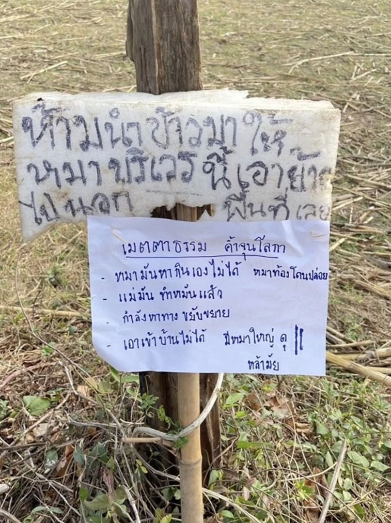 แจ้งจับเพื่อนบ้าน เชื่อวางยาหมาตาย 6 ตัว