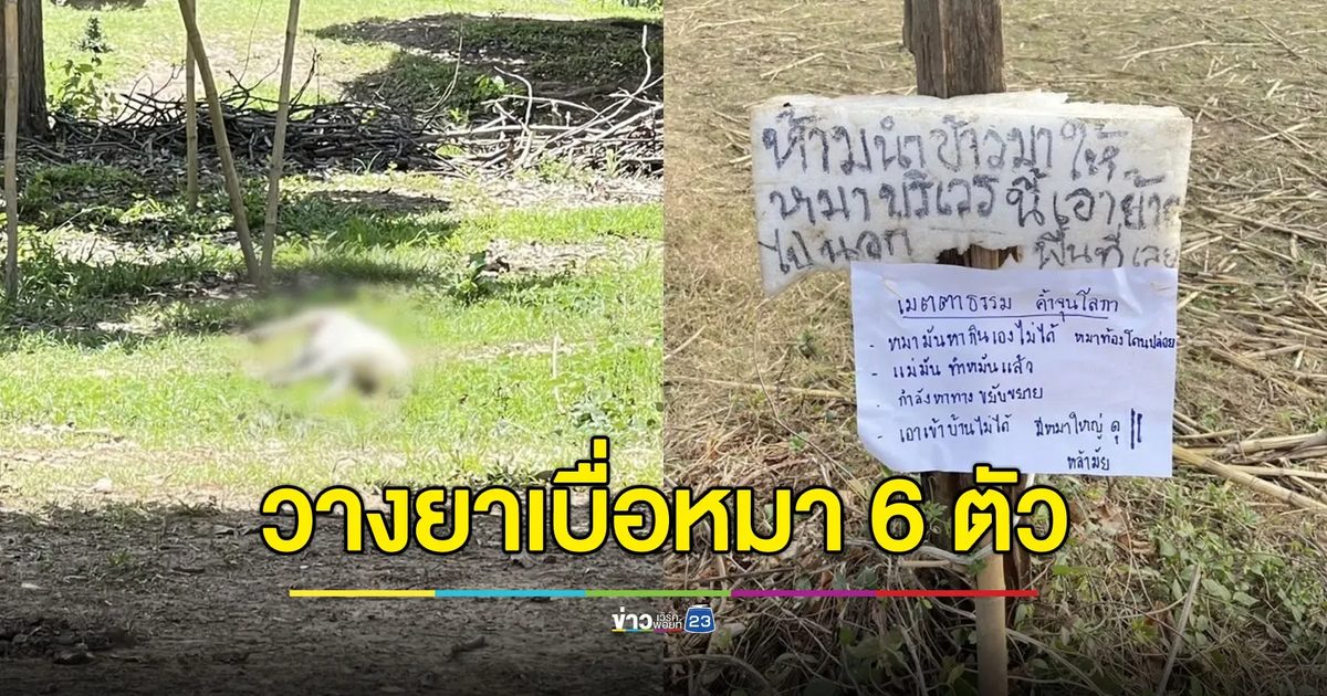 แจ้งจับเพื่อนบ้าน เชื่อวางยาหมาตาย 6 ตัว
