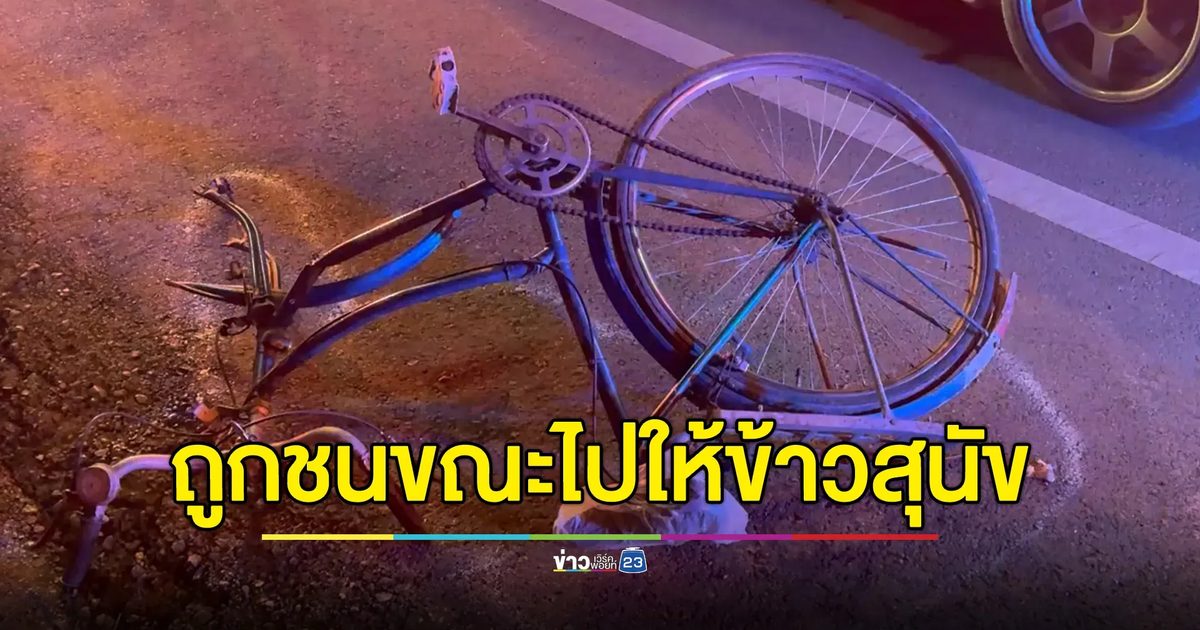 สลด! คุณตาปั่นจักรยานไปให้ข้าวสุนัข โดน จยย.ชนเสียชีวิตทั้งคู่