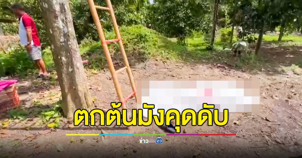 หญิงวัย 66 ตกต้นมังคุด เสียชีวิตสลด สุนัขคู่ใจเฝ้าศพไม่ห่าง