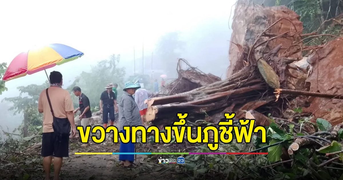 ฝนถล่มทำดินสไลด์ ต้นไม้-ก้อนหินขวางทางขึ้นภูชี้ฟ้า