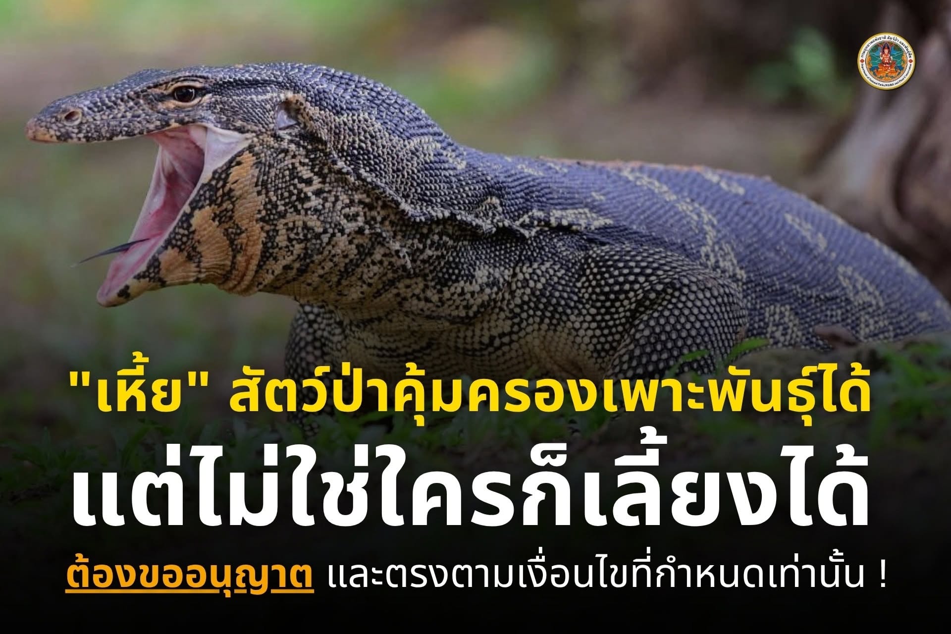 กรมอุทยานฯ แจงกรณีอนุญาตให้เพาะพันธุ์ "เหี้ย" เชิงพาณิชย์