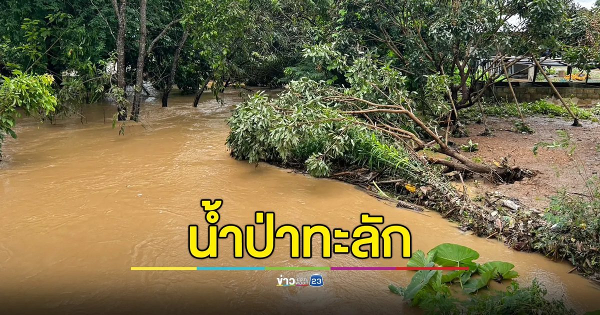 ฝนตกหนักน้ำป่าเชียงรายทะลัก ท่วมบ้านเรือนริมห้วย