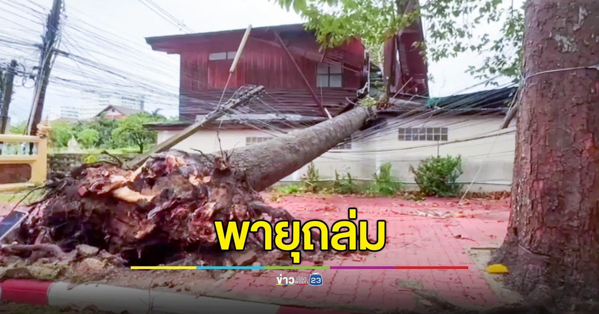 พายุกระหน่ำตัวเมืองระยอง ต้นไม่ใหญ่โค่น เสาไฟฟ้าหักทับบ้าน 2 หลัง