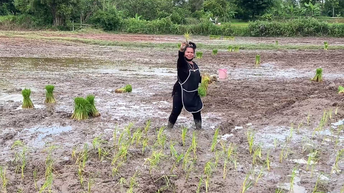 เปิดชีวิต “เจ้อ๋อ 90 ล้าน” หลังเงินหมดต้องรับจ้างดำนาวันละ 300