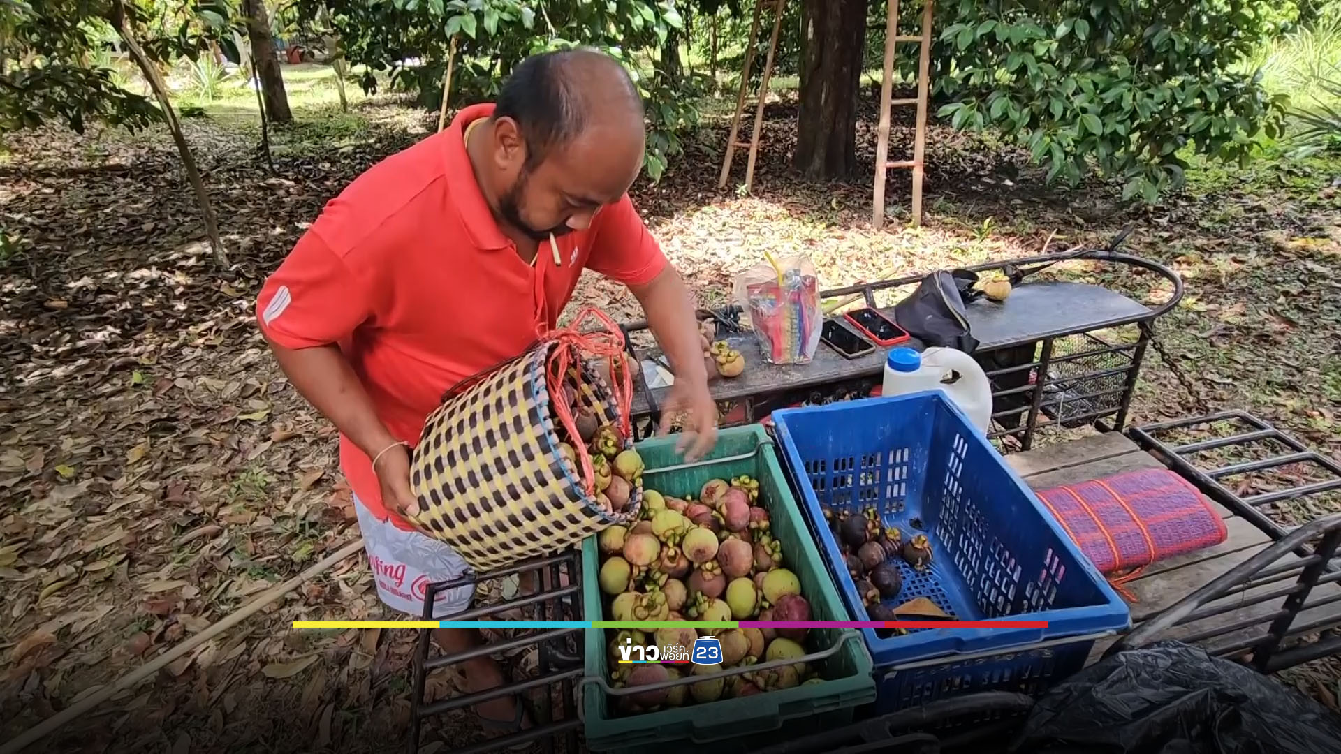 พาณิชย์ฟิตจัด 2 รัฐมนตรีควงคู่พบชาวสวนมังคุดเมืองคอน