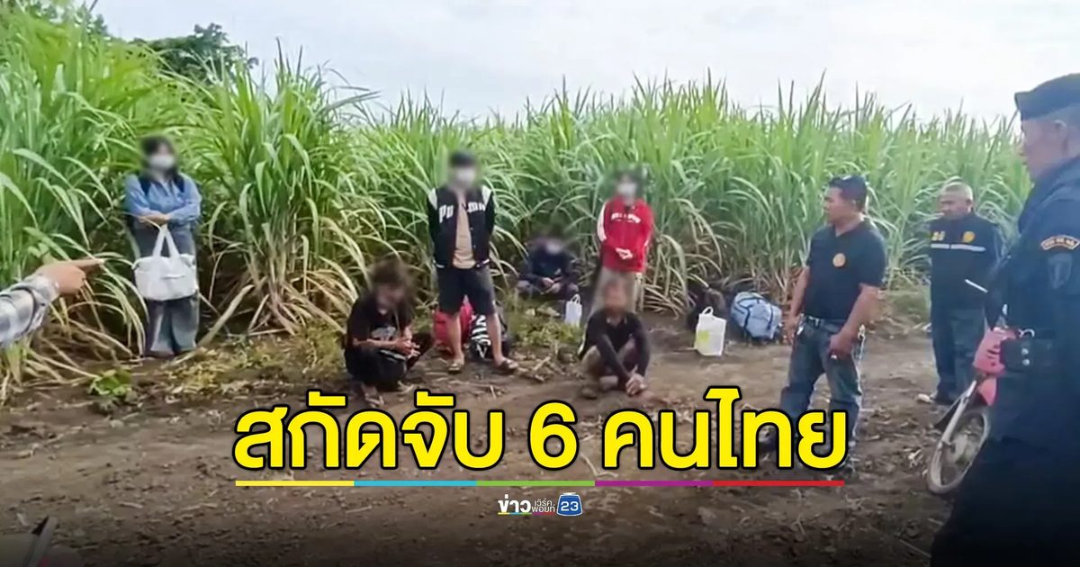 สกัดจับ 6 คนไทย ซ่อนตัวในไร่อ้อย เตรียมลักลอบข้ามแดนไปทำงานบ่อนกาสิโนปอยเปต