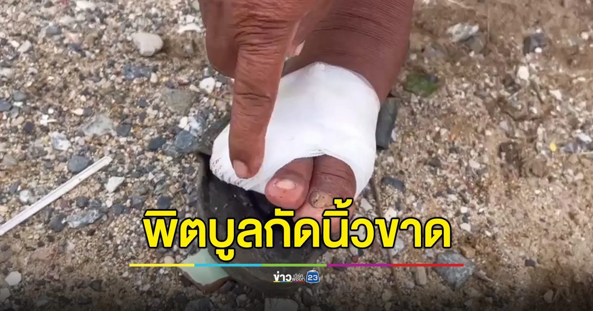 พิตบูลกัดนิ้วขาด เข้าแจ้งความ ตร.บอกหลักฐานยังไม่พอ ต้องหาวงจรปิดเพิ่ม
