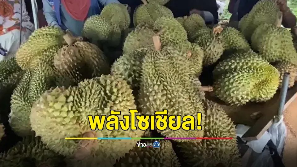 พลังโซเชียล! ช่วยแม่ค้าขายทุเรียนหมดในคืนเดียว 4.5 ตัน หลังโพสต์ขาย เพราะสามีเสียชีวิตกะทันหัน