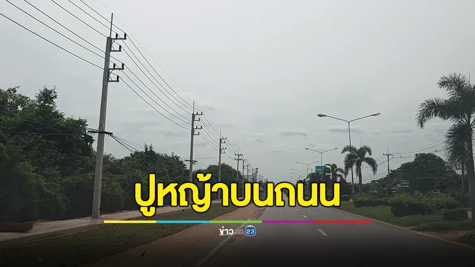 โซเชียลวิจารณ์! ไอเดียปูหญ้าบนถนน โผล่อีกที่ถนนคอนกรีตดีๆ มาเทลาดยางทับ
