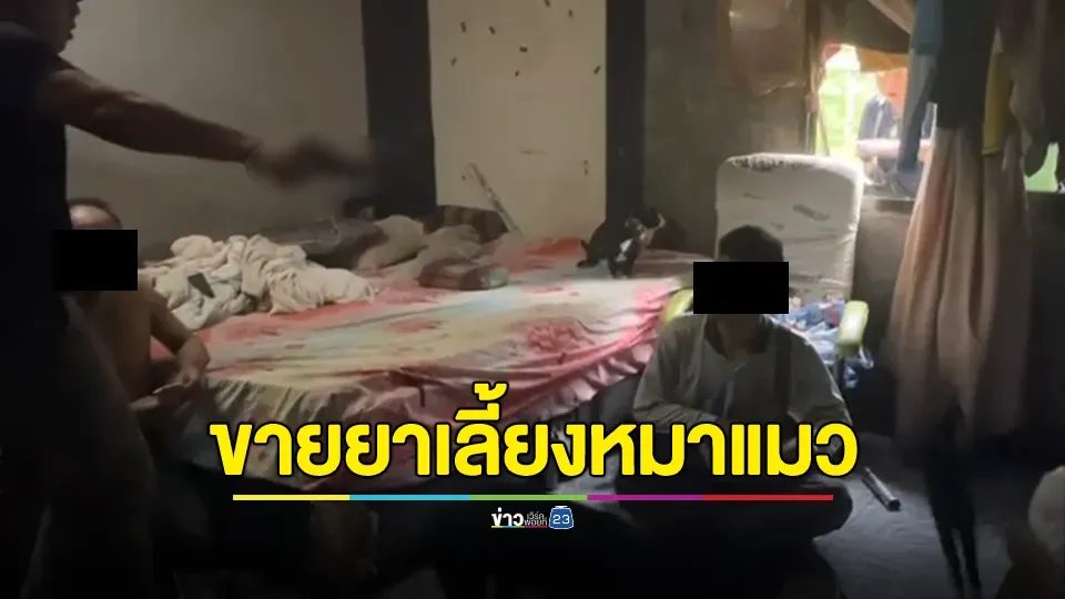 ชายใจบุญรักสัตว์ แต่เลือกทางผิด! จำหน่ายยาบ้าหาเงินเลี้ยงหมาแมวกว่า 30 ตัว