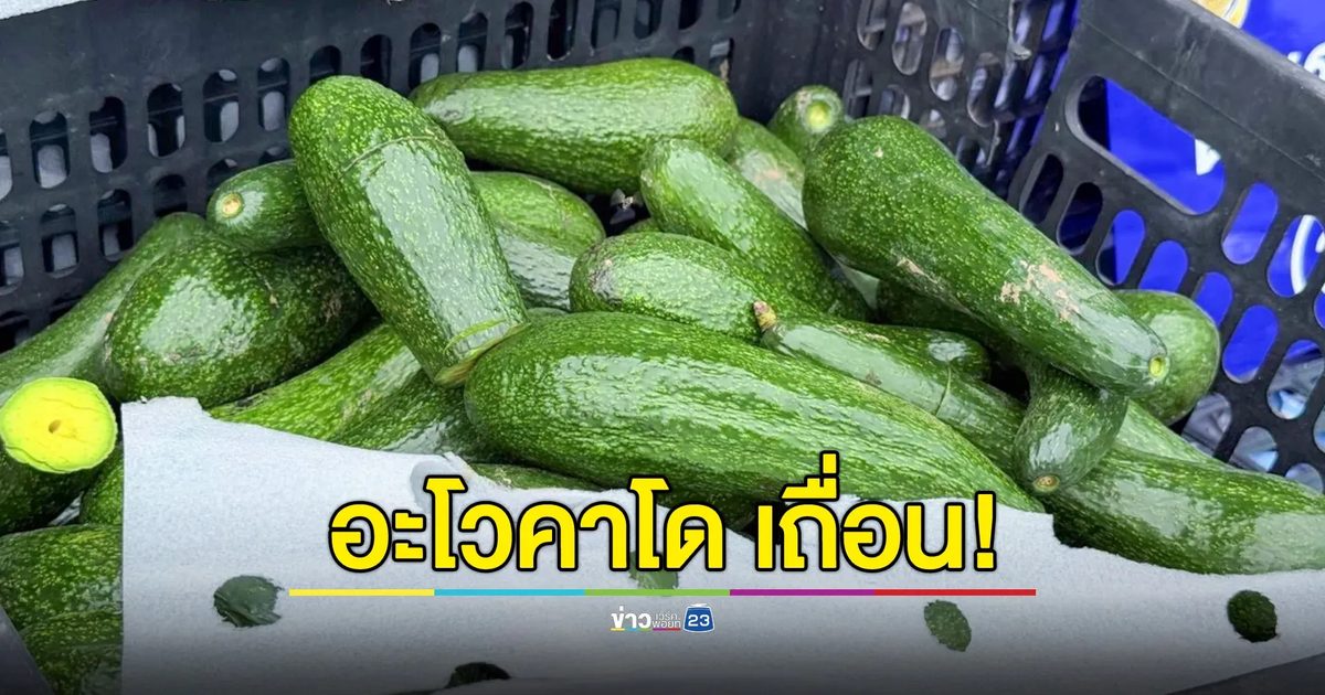 นรข.มุกดาหาร สกัดจับขบวนการลักลอบนำเข้าอะโวคาโด รวม 4,250 กก.