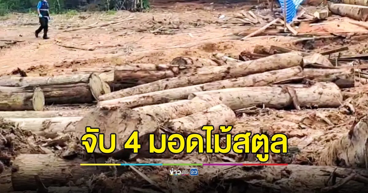 จับผู้ต้องหา 4 ราย ยึดไม้แปรรูปซุกสระน้ำ-ฝังดินกลางสวนยางในเขตป่าสงวนสตูล