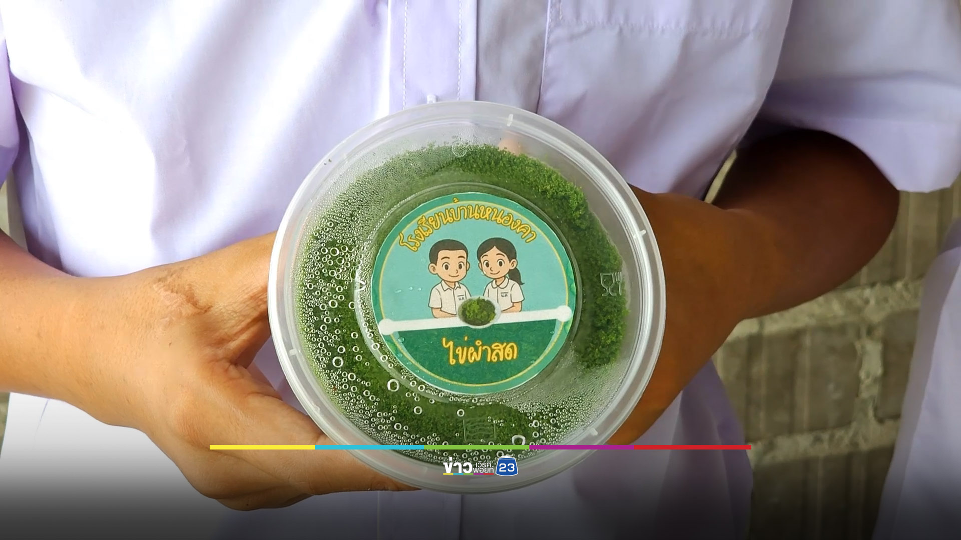 ไอเดียดีทำฟาร์ม “ผำ” ที่โรงเรียน เสริมโปรตีนให้ นร.-สร้างรายได้