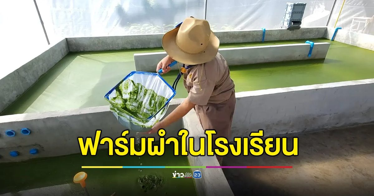 ไอเดียดีทำฟาร์ม “ผำ” ที่โรงเรียน เสริมโปรตีนให้ นร.-สร้างรายได้