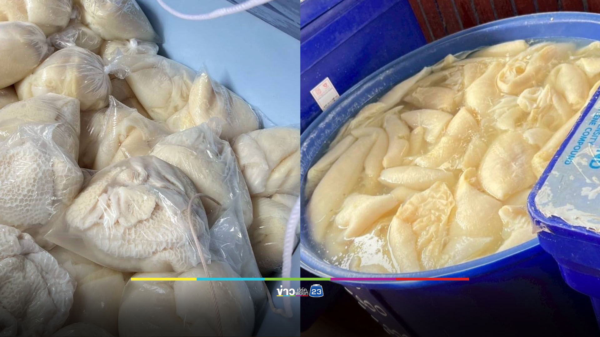 ยึดเนื้อวัวเถื่อน 42 ตัน พบร่องรอยแช่สารฟอร์มาลีน
