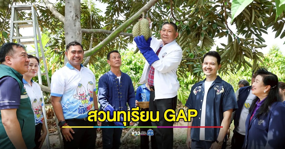 สวนทุเรียน GAP แปลงแรกของจังหวัดสุพรรณบุรี