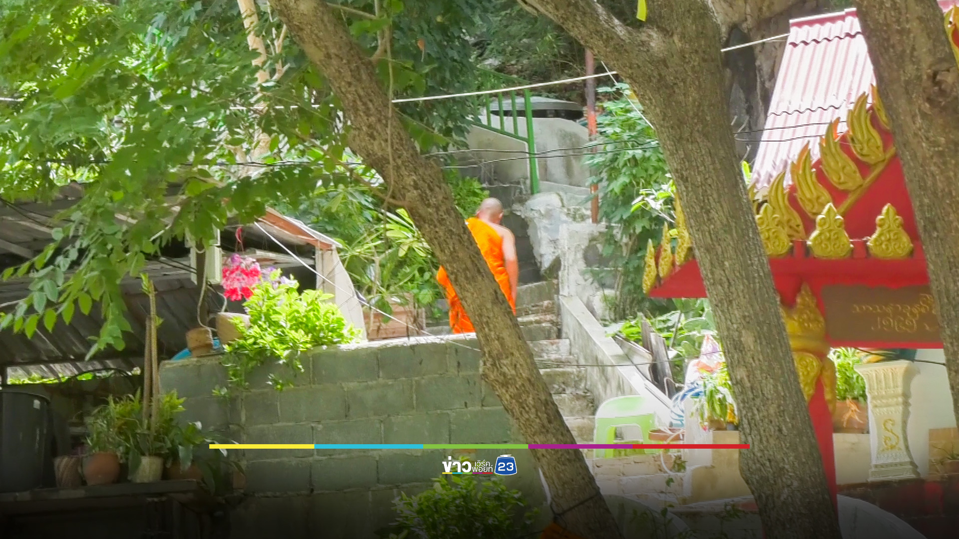 พระมรณภาพปริศนาคากุฏิ แมวดำนอนเฝ้าไม่ห่าง