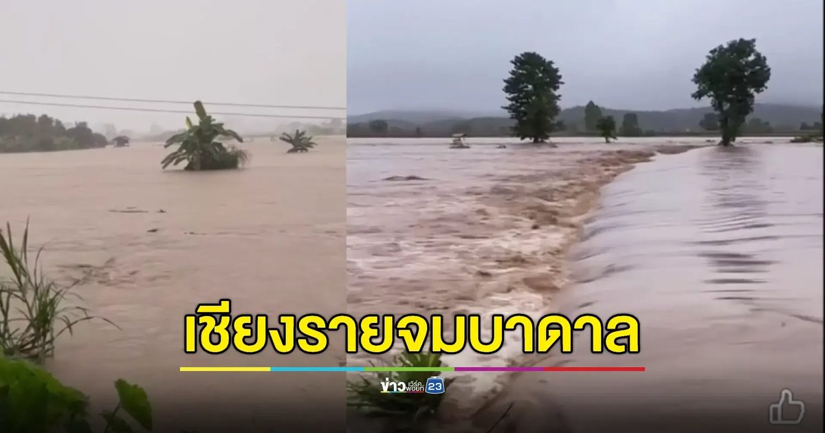 “วิภา” ถล่มเชียงรายกลางดึก น้ำป่าหลากทั่วเมือง ถนนจมหาย สะพานขาด