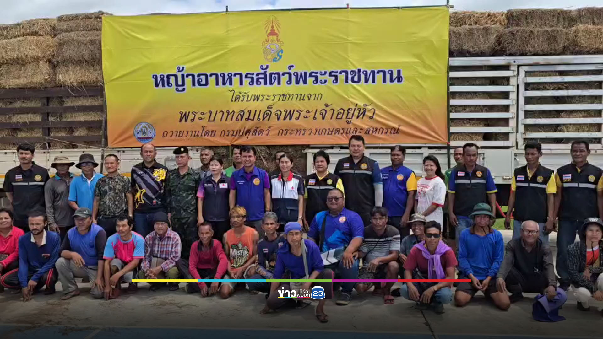 เกษตรกรชายแดนวอนช่วยเหลือ สัตว์อดเพราะไม่กล้าออกเกี่ยวหญ้า