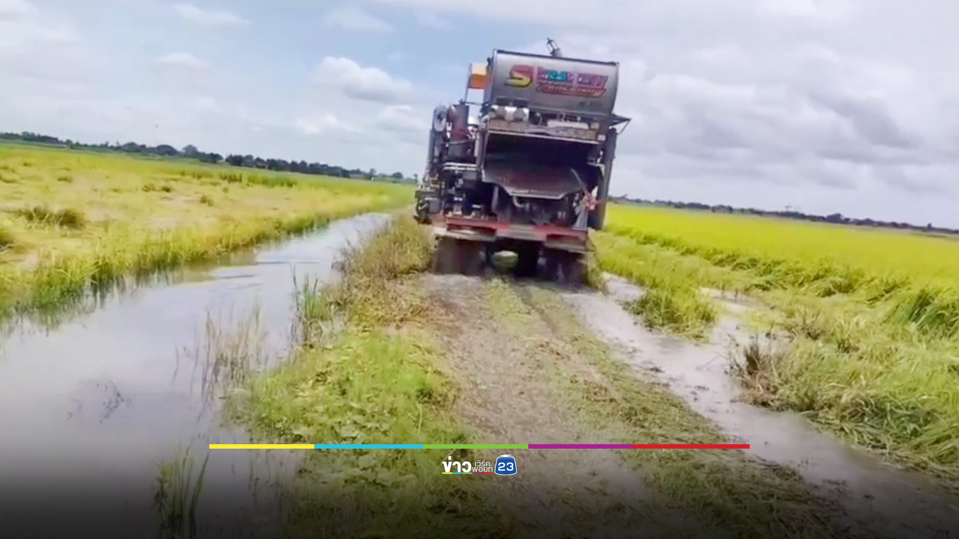 ชาวนากรุงเก่า เร่งเกี่ยวข้าวหนีน้ำท่วม หวั่นขาดทุนยับ