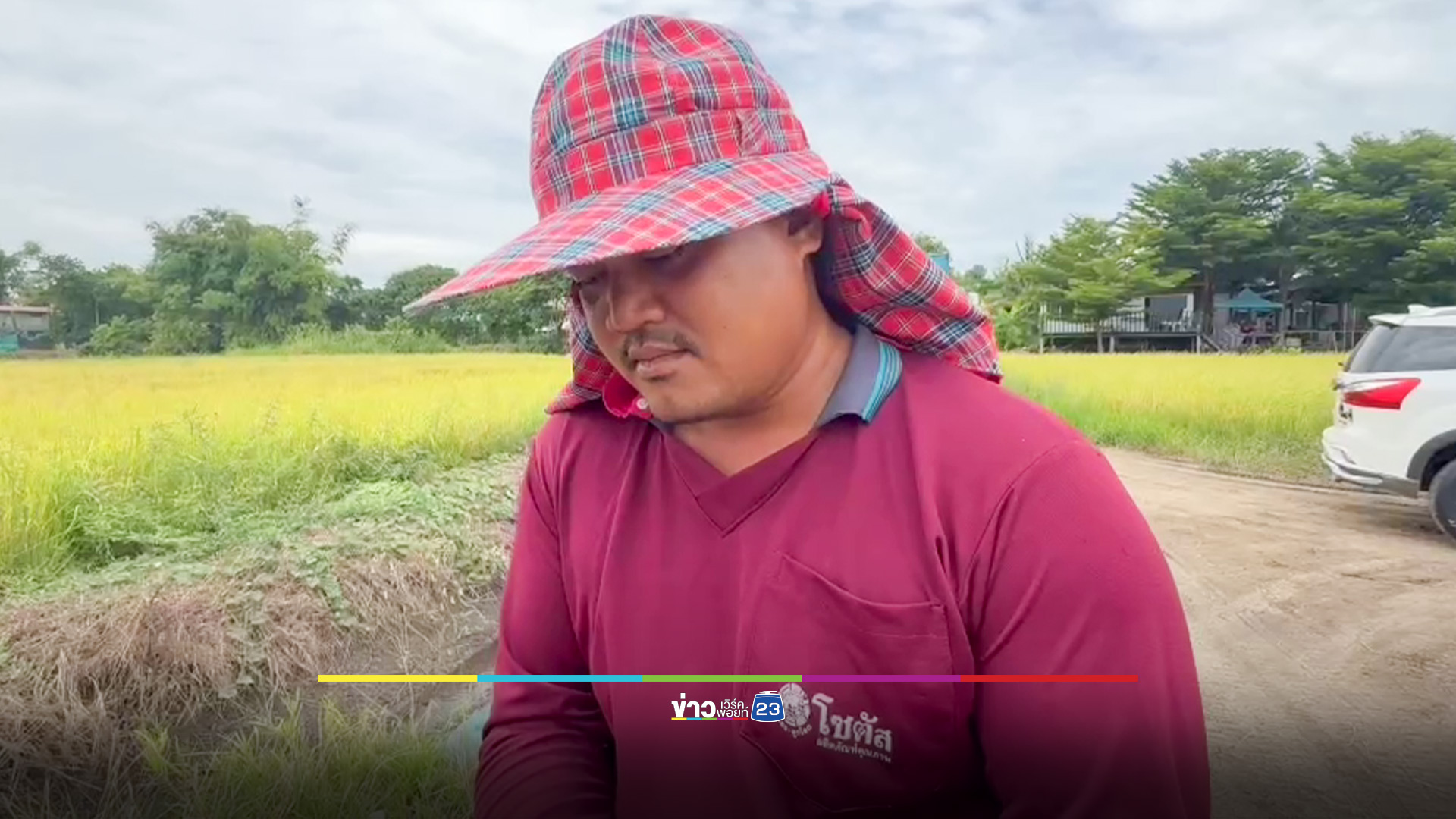 ชาวนากรุงเก่า เร่งเกี่ยวข้าวหนีน้ำท่วม หวั่นขาดทุนยับ