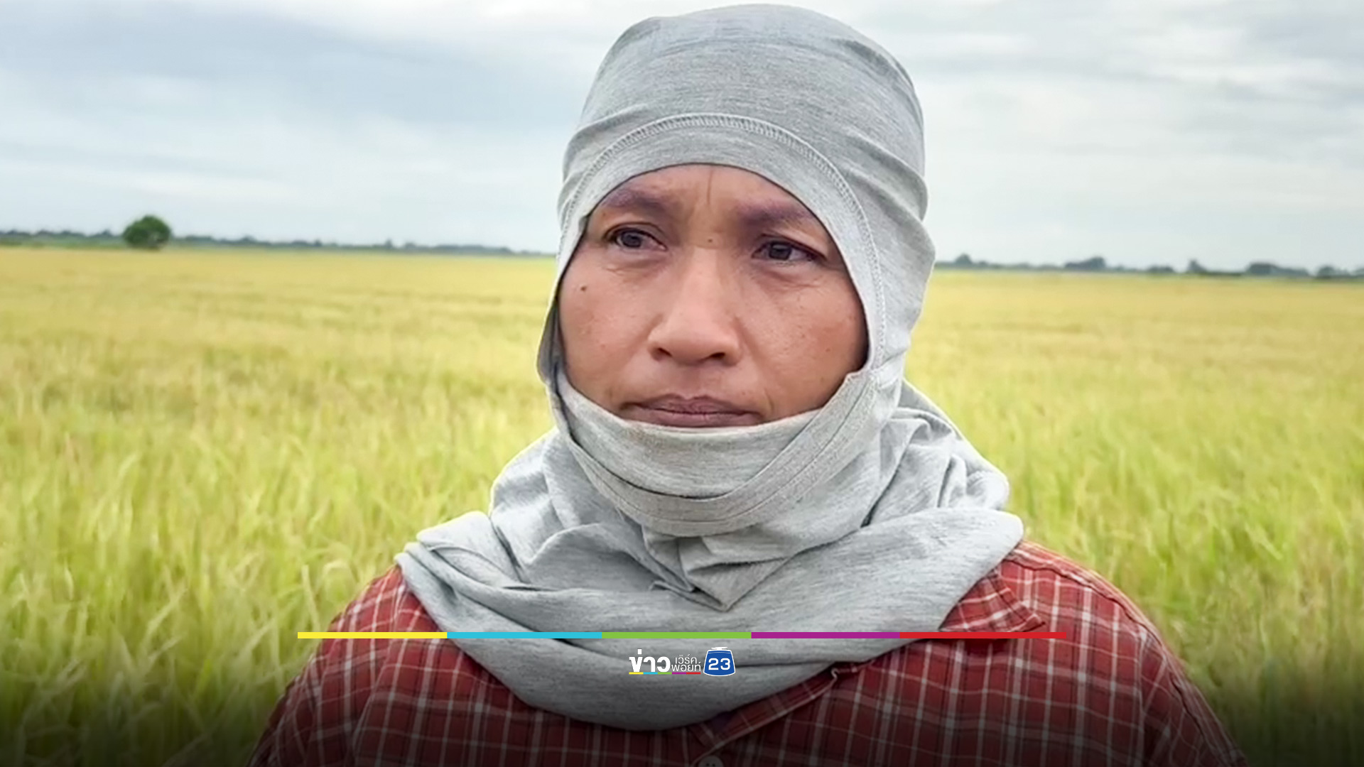 ชาวนากรุงเก่า เร่งเกี่ยวข้าวหนีน้ำท่วม หวั่นขาดทุนยับ