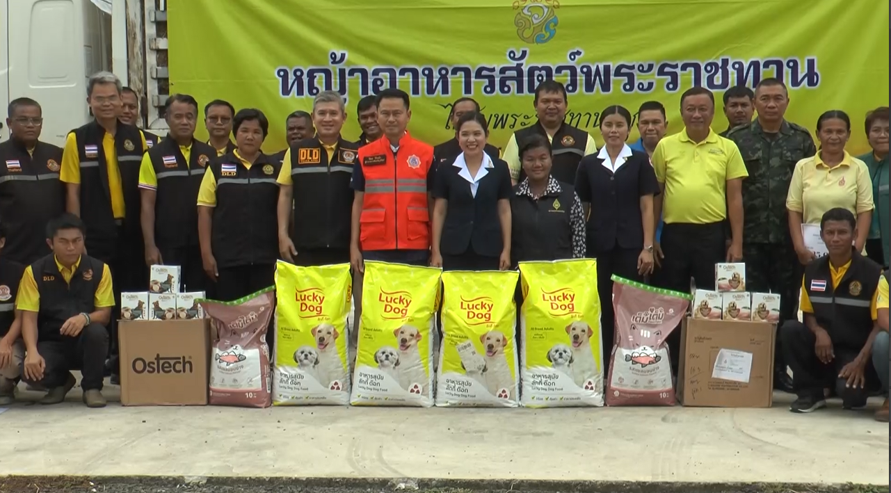 ผู้ว่าฯ-กาชาดและปศุสัตว์รุดจ่ายเงินเยียวยา โค-สุกร โดน BM21 ตาย 8 ตัว