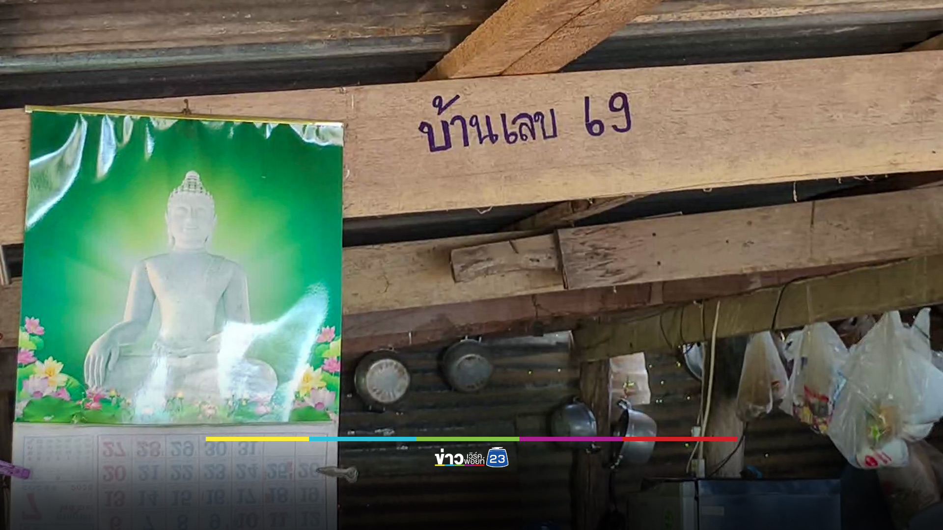แห่ขอโชค กล้วยต้นเดียว 5 เครือ