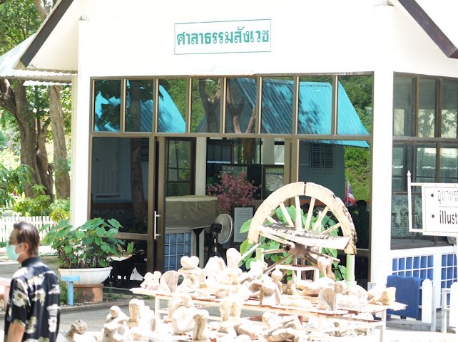 สธ.สั่งเคลื่อน 20 ศพดองจากวัดพระพุทธบาท
