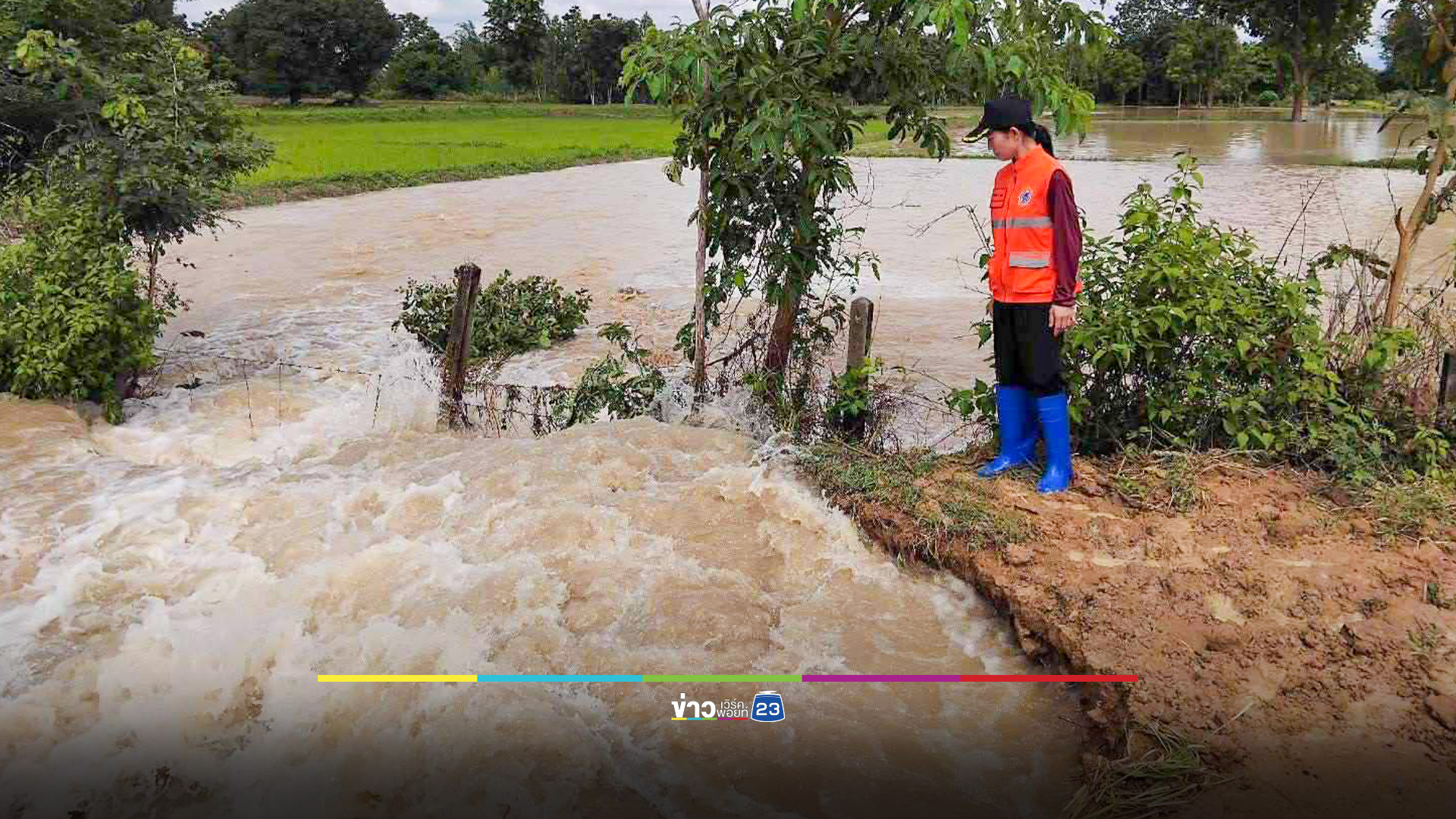 ฝนกระหน่ำชัยภูมิ ซัดฝายแตก น้ำท่วมพื้นที่การเกษตรแก้งคร้อ กว่า 500 ไร่