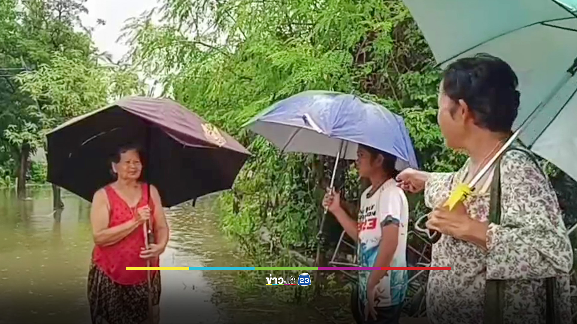 ฝนตกต่อเนื่อง "ท่าตะโก" น้ำท่วมมิดหัว ชาวบ้านย้ายวัวหนีน้ำ