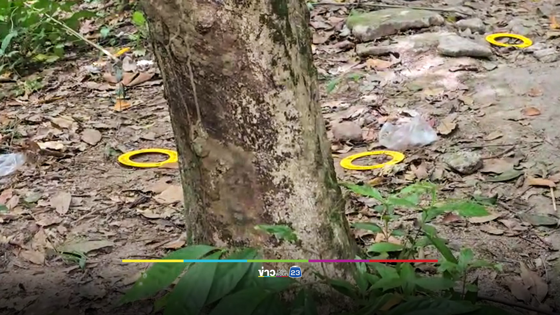 คนร้ายยิงอดีตจ่าทหารเรือ เสียชีวิตบนเขาบูโด ฉกปืนไป 2 กระบอก