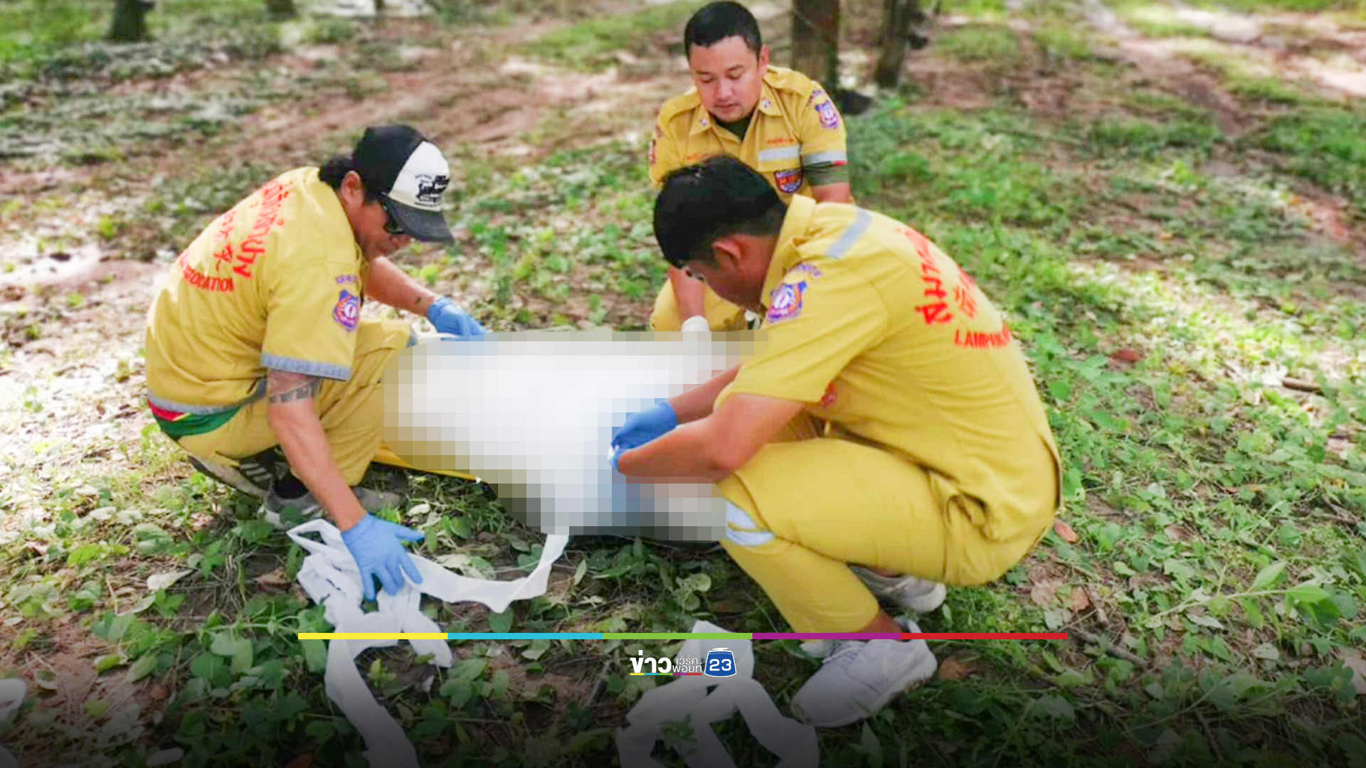 ลุงปีนต้นไม้เก็บรังผึ้ง พลัดตกกระแทกพื้น ผึ้งรุ่มต่อย ดับคาที่