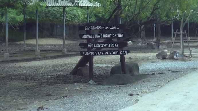 กัก 5 สิงโต–'ซาฟารีเวิลด์'ตั้งกองทุนเยียวยาครอบครัว จนท.'เจียน'