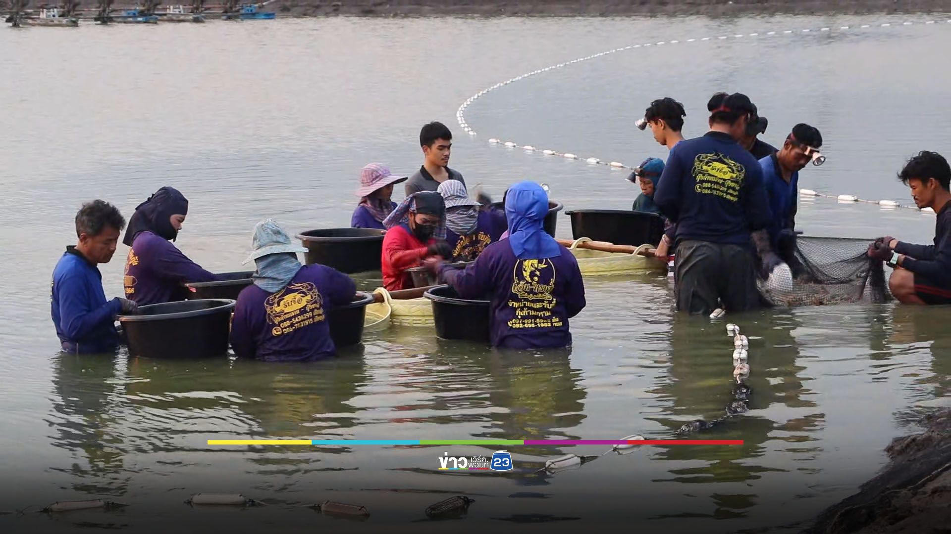 คนเลี้ยงกุ้งได้เฮ จีนตกลงซื้อกุ้งไทยล็อตใหญ่