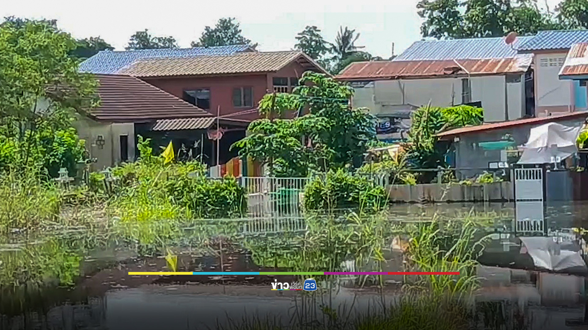 ผวาจระเข้โผล่ ชาวบ้านหวั่นซ้ำเติมวิกฤติน้ำท่วมเมืองสี่แคว