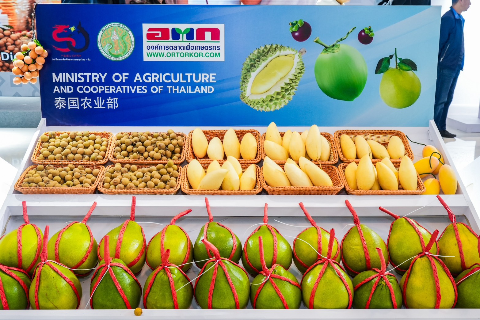 ส่งออกผลไม้ไทยทะลุ 3 แสนล้าน! รัฐเร่งต่อยอดเปิดตลาดใหม่ในจีน