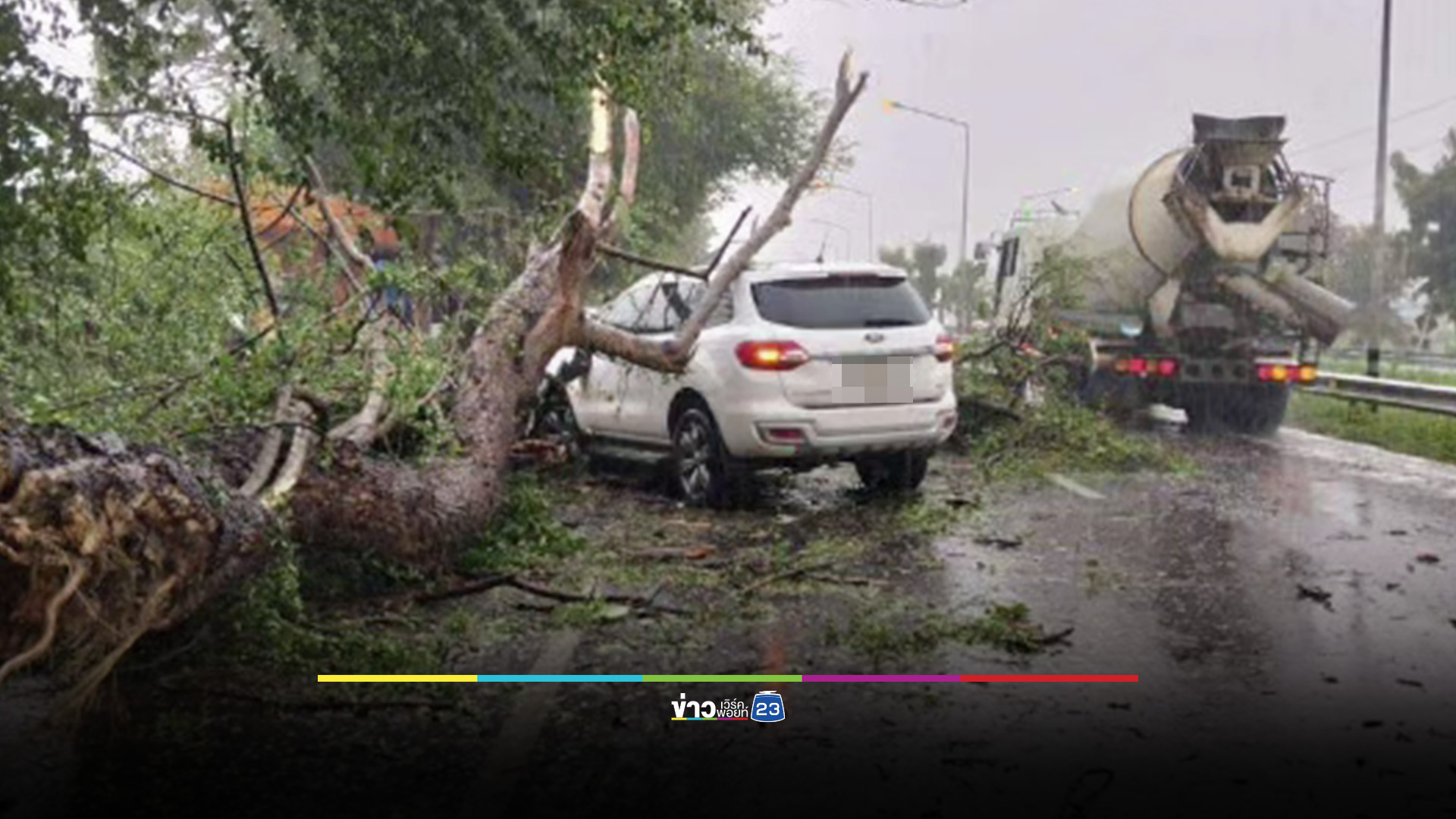 พายุถล่ม รถ SUV ถูกต้นไม้ใหญ่ล้มทับ ชายวัย 72 หวิดดับ