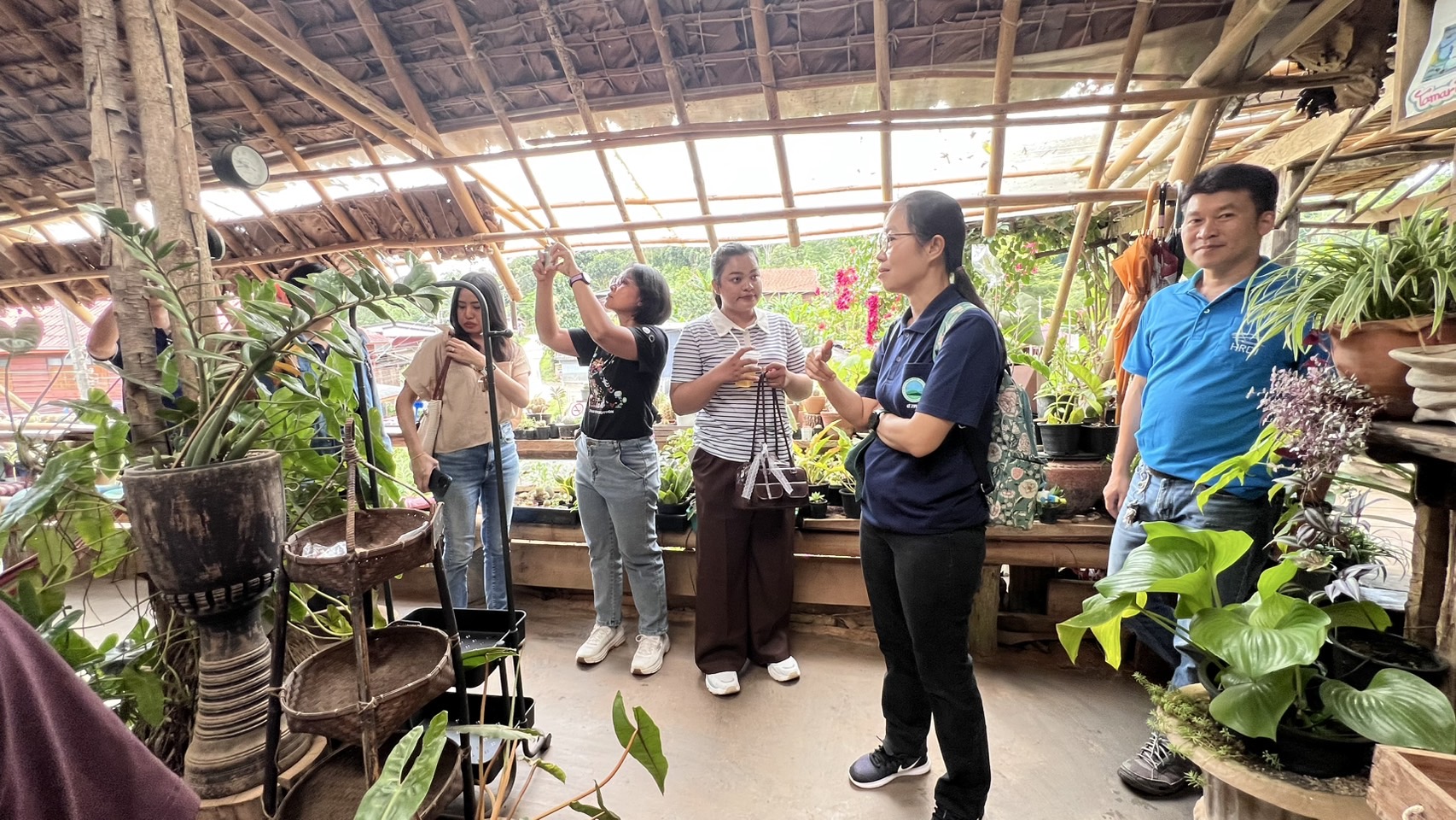 “Anthocyanin drink” ผลิตภัณฑ์ต้นแบบ มีส่วนประกอบของวัตถุดิบ “ข้าวดอย” ปลูกโดยกลุ่มชาติพันธุ์