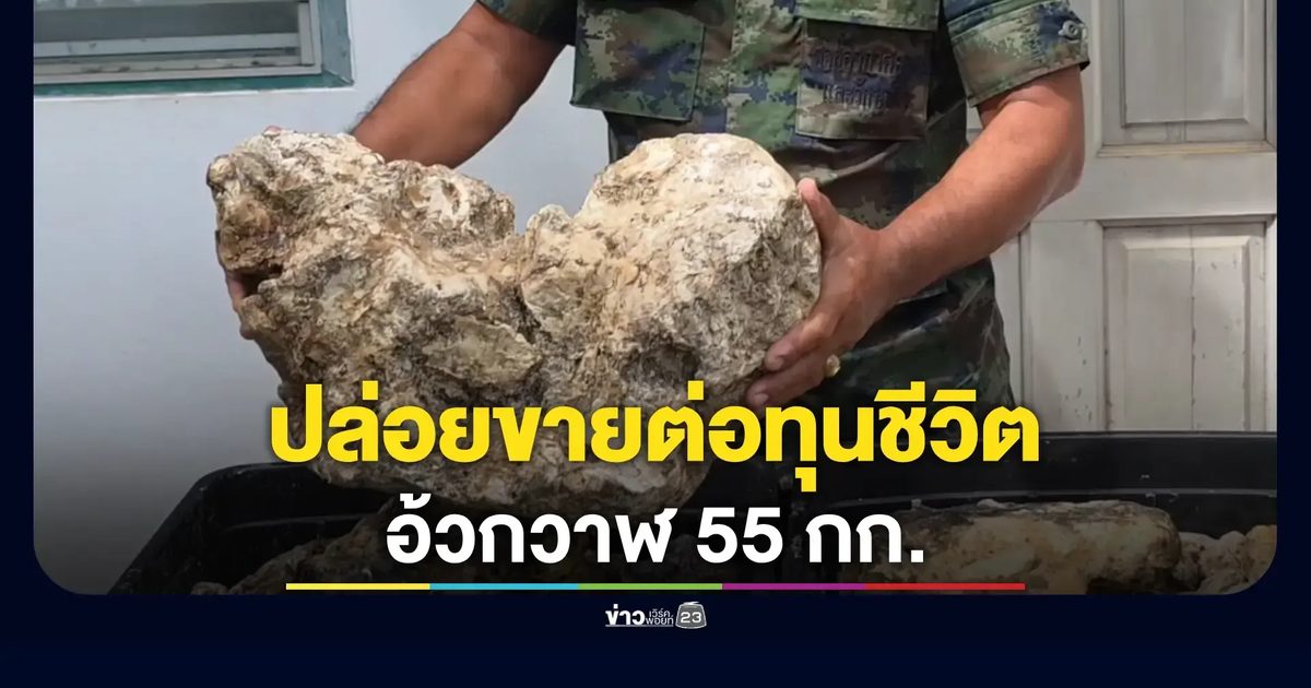 นายทหารเรือพบ “อ้วกวาฬ” กลางทะเล หนัก 55 กก. ตั้งราคาขาย 55 ล้าน