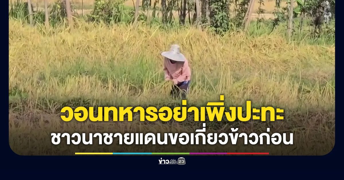 ชาวนาชายแดนวอนทหารอย่าเพิ่งปะทะ ขอเกี่ยวข้าวเสร็จก่อน