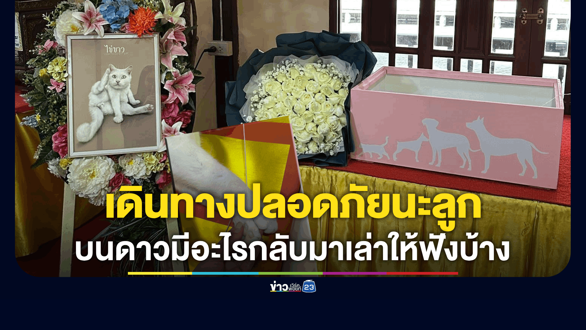 ส่งใจให้แม่พลอย! “น้องไข่ขาว” กลับดาวแมวแล้ว