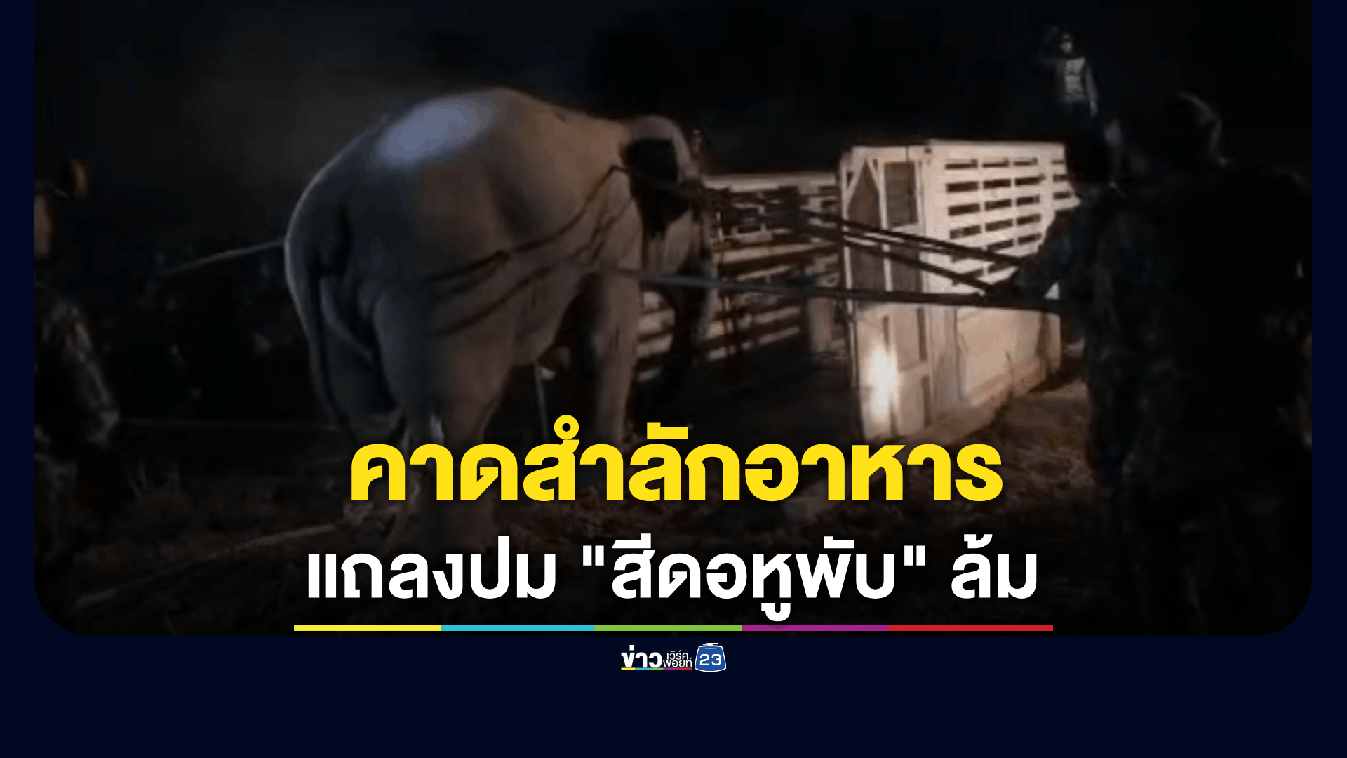 กรมอุทยานฯ ชี้แจงกรณีช้างป่า "สีดอหูพับ" เสียชีวิตระหว่างการเคลื่อนย้าย