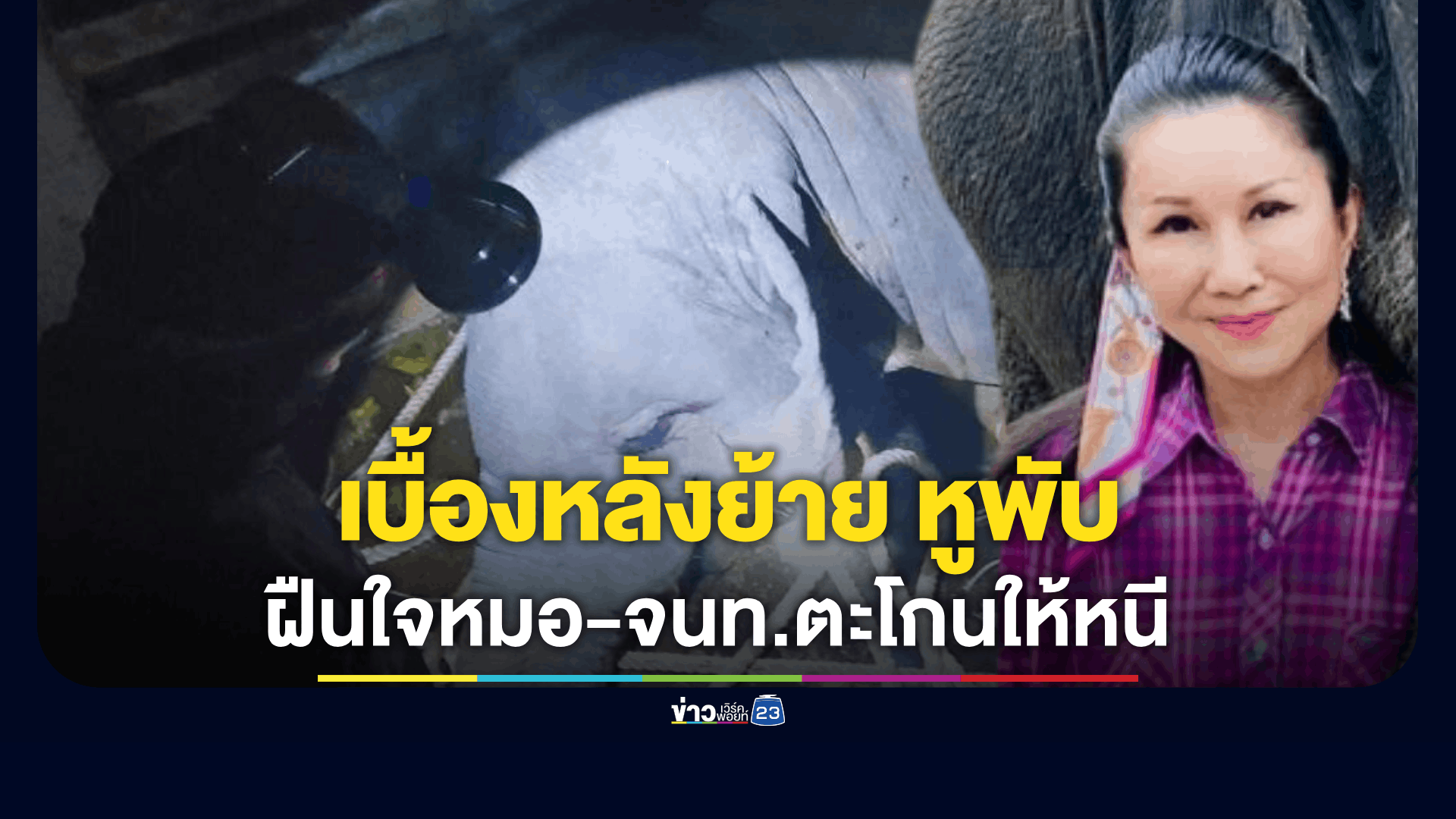 หนูนาแฉ! เบื้องหลังย้าย “สีดอหูพับ”